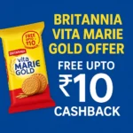 ChatGPT Image Nov 6 2025 11 25 04 PM